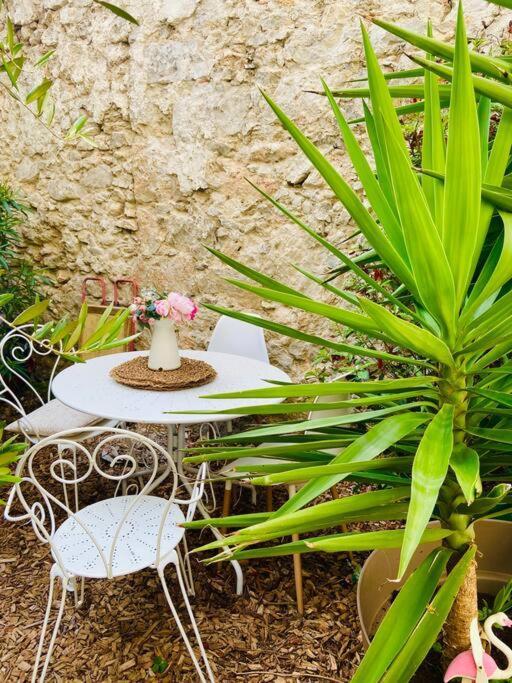 Havre De Paix Avec Jardin Et Clim En Centre Ville De Sète Eksteriør bilde