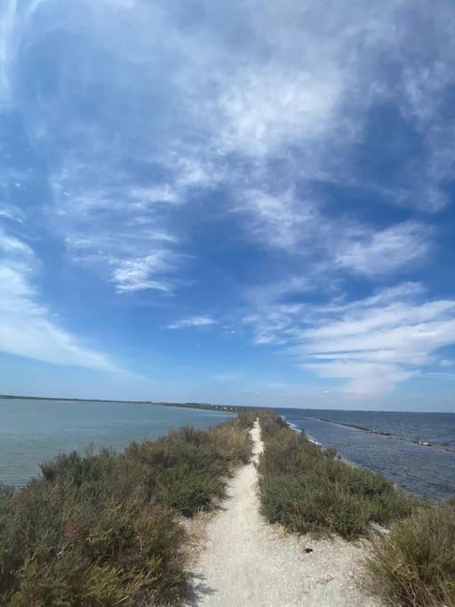 Havre De Paix Avec Jardin Et Clim En Centre Ville De Sète Eksteriør bilde